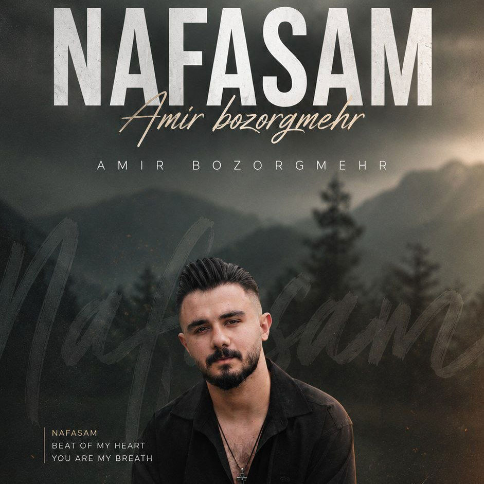 نفسم امیرمحمد بزرگمهر